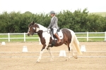SBM_007123