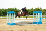 SBM_001065
