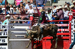 3HRodeo_CFD_JUL_24_2026_02890_BBartlett
