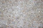 SBM_002655
