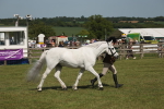 SBM_09261