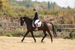 SBM_009960