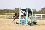SBM_002974