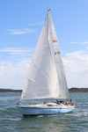 190729 ANDANTE 375 WEXFORD 1Y3A6489