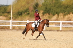 SBM_018636