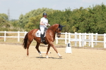 SBM_022209