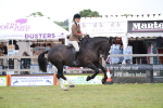 SBM_11375