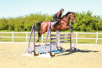 SBM_001888