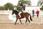 SBM_02893