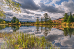 Coffin Pond Autumn