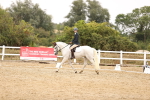 SBM_003205
