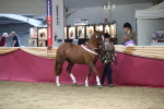 SBM_06615