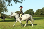 SBM_59217