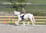 BPP_8584