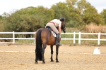 SBM_006648