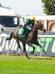 240726-Race 1-Martinet-00954