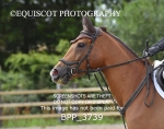 BPP_3739