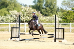 SBM_007022