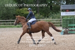 BPP_2867