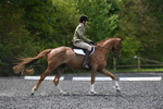 WJ5_9980