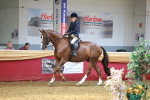 SBM_20219