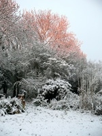 Landscapes portfolio