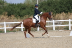 SBM_020860