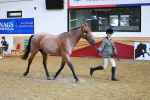 SBM_09554