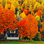 Rural Homestead in Autumn New Brunswick Canada