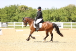 SBM_010053