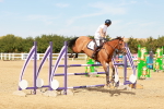SBM_003841