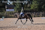 BPP_8523