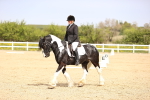 SBM_007494