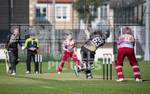 Cannaccord Griffins v Sparsholt-35