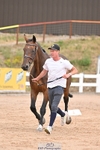 Wednesday Trot Up portfolio