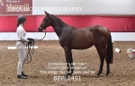 BPP_1491
