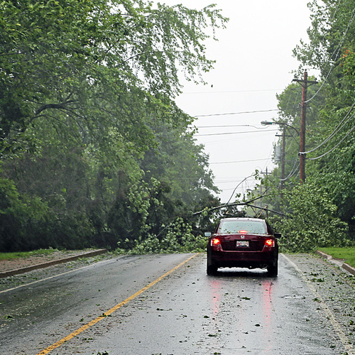 Tree down on Rothesay Road near Maiden Lane.