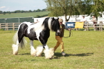 SBM_08866