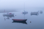 Fog Harbor