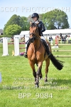 BPP_9084