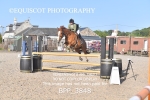 BPP_3848