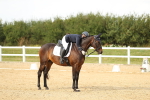 SBM_018489