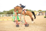 SBM_004937