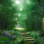 Spirit of the Woods
