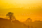 Across the Exe valley from above Silverton