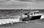 IH320 Safely Home @ Aldeburgh