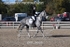 BPP_8695