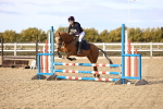 SBM_001135