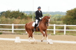 SBM_002022