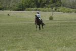 BVHT 140517  IXC -561